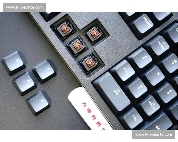 数据控看过来！电竞国际积分深度解析，隐藏的秘密等你揭晓